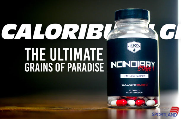 مکمل-های-بدنسازی