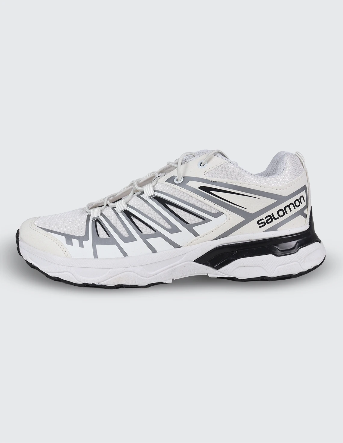 کفش ورزشی مردانه سالامون X Ultra 3 GTX M